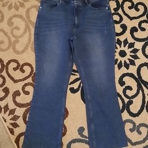 J jill denim ankle pants